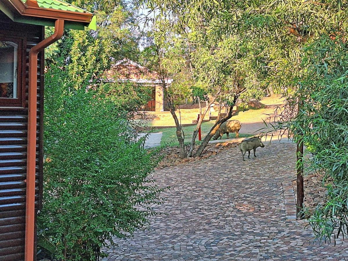 Loskop Serene Bush Cabin Winterkamp Bagian luar foto