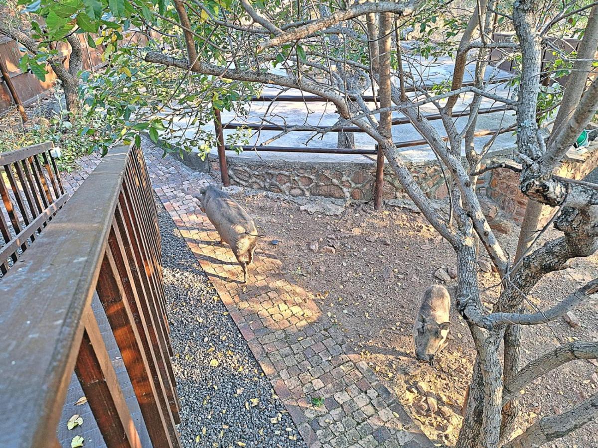 Loskop Serene Bush Cabin Winterkamp Bagian luar foto